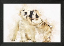 Retriever and pug puppies