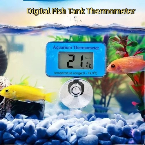 Waterproof fish tank - fish,
