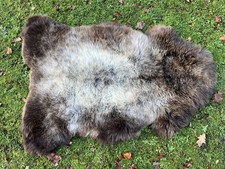 Nice New Real Rare Breed