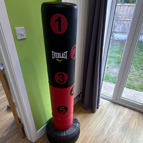 Everlast freestanding punch - everlast,
