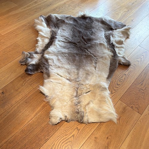 Reindeer skin fur hide - fur, &