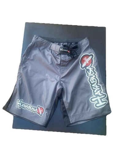 Men hayabusa shorts large - shorts,