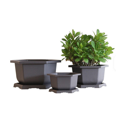 Plastic bonsai training - plastic,