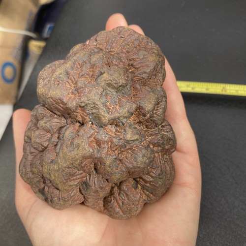 Iron pyrite nodule - iron,