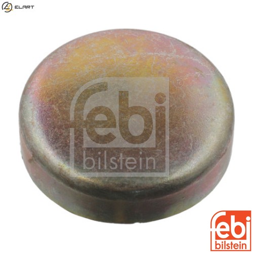 Frost plug 07295 - for, d17