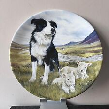 Border Collie Dog Collector's Plate 'The Hero' - Derek William Ward (VERY GOOD)