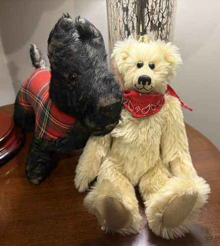 Teddy wendy boston - &,