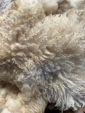 Raw Sheep’s Wool - Lucky Dip