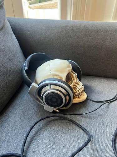 Sennheiser hd800 headphones - headphones,