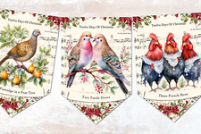 12 Days of Christmas