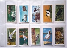 British Birds Brook Bond Tea full set of 20 cards FRANCIS PITT 1954