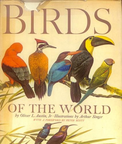 Birds the world austin - birds,