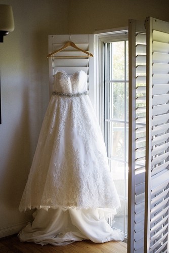 Beautiful lace moonlight - lace,