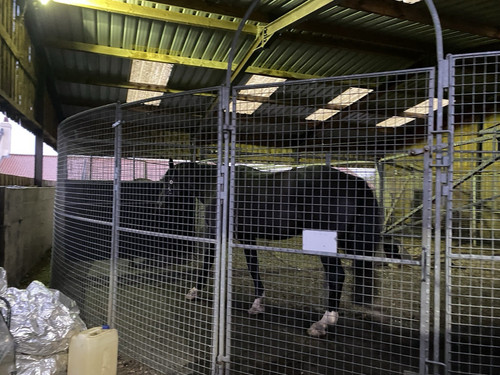 Horse walker fencing panels - fencing, &