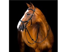 *SALE* Horseware Micklem 2