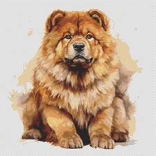 Chow Chow Puppy Dog