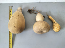 SET OF 3 DRIED AND WASHED GOURDS -FOR CRAFTS AND DECORATIONS - set 02
