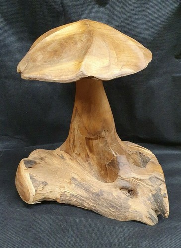 Mushroom garden interior - ,