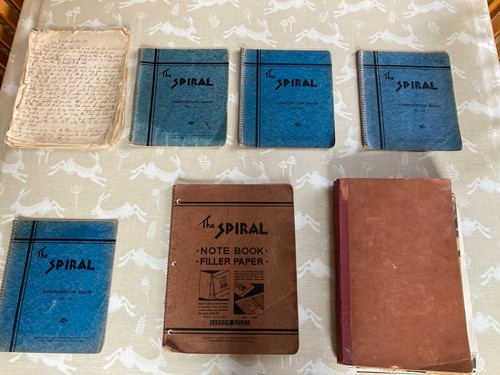 Incredible handwritten diaries - incredible,