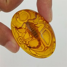 Amber Stone with Real Scorpion