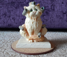 Comic Curious Cats: (A7690)