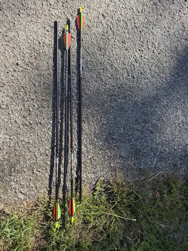 Easton arrows aluminium xx75 - arrows,