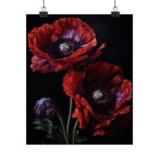 Oriental Poppy Flower Art