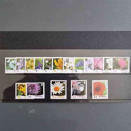 Guernsey 2008 2009 - 2008,