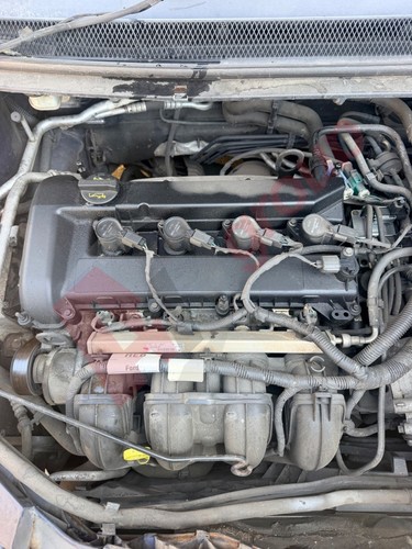 Ford focus aoda - ford, petrol