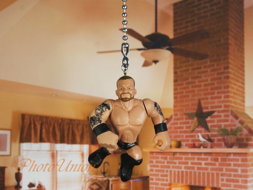 Wwe wrestling wrestler randy - wwe,