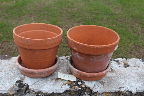 Vintage terracotta pots with - vintage,