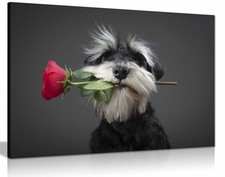 Tango Dancer Framed Canvas