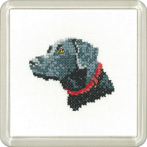 Black labrador cross - black,