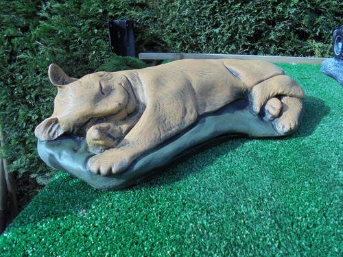 Sleeping cat concrete - cat,