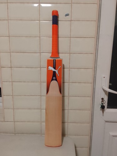 Puma evospeed bat - bat., adult's