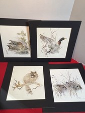 7 Danish Mads Stage Rabbits Ducks, Fox, Raccoon, Otter, Squirrel Matted Print