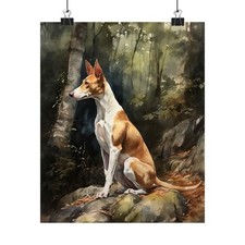 Ibizan Hound Dog Art Print