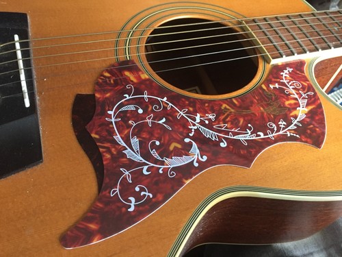 Acoustic guitar hummingbird