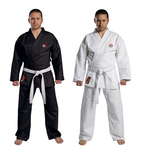 Adult kids karate aikido - adult,