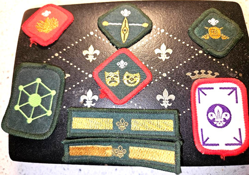 Vintage scout badge collection - vintage,