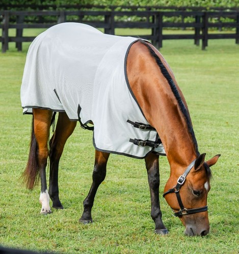 Amigo bug rug quarter horse - quarter,