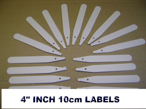 White plastic plant - •,
