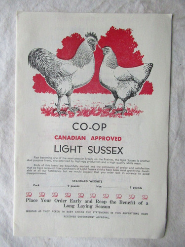 New hampshires light - new, &