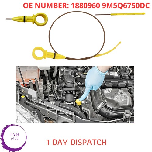Engine oil dipstick - engine, level