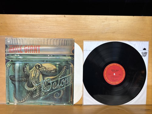 Gentle giant octopus vg - -,
