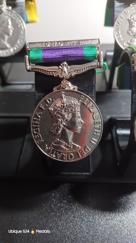 Campaign service medal radfan - service,