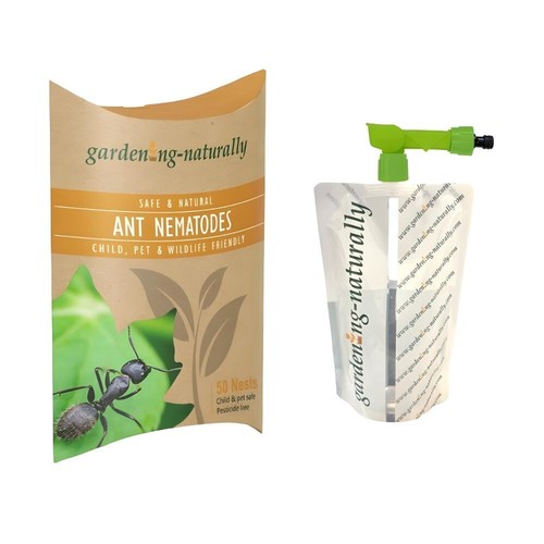 Ant nematodes nests - 50,