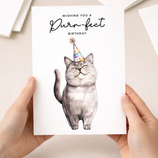 British Shorthair Cat Birthday