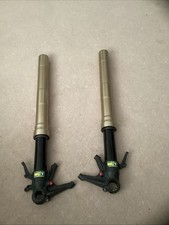 Ducati 1199 Panigale Front Forks