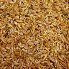 Freeze Dried Gammarus Shrimp Fish Food Tropical Coldwater Koi Turtle Terrapin